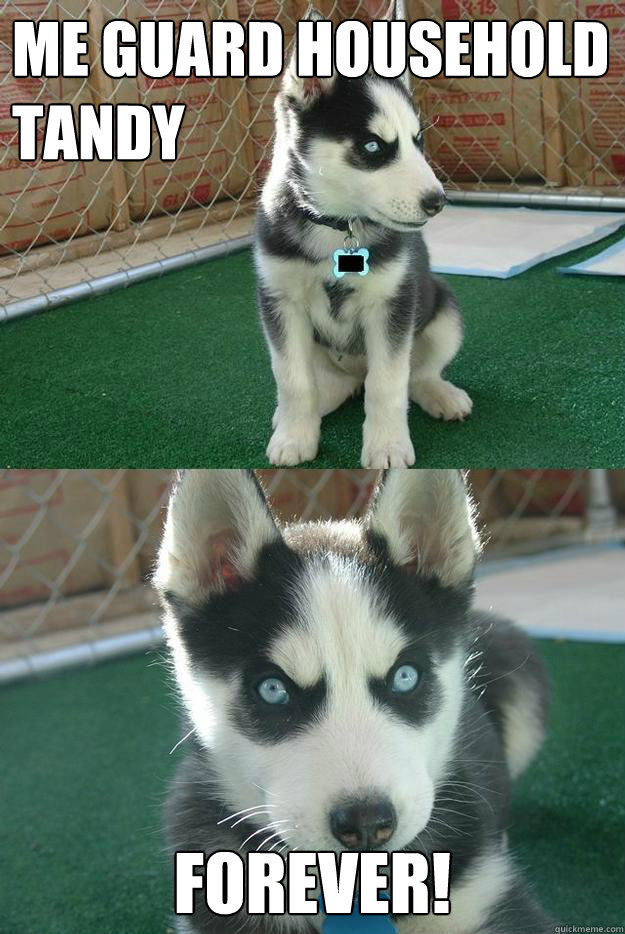 Me guard Household Tandy Forever!  Insanity puppy