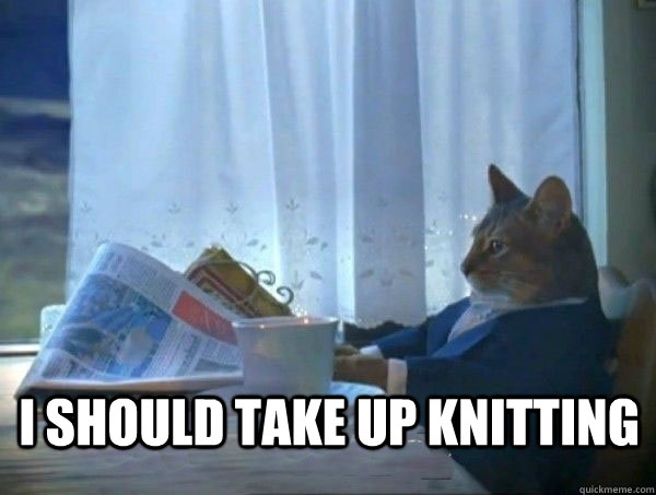 I should take up knitting -  I should take up knitting  morning realization newspaper cat meme