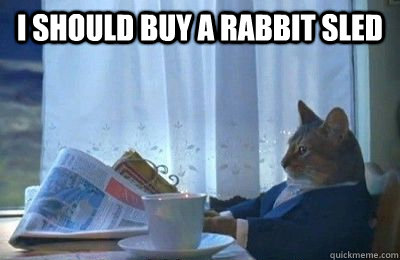 I should buy a rabbit sled   I should buy a bike