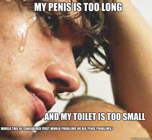 my penis is too long and my toilet is too small would this be considered first world problems or big penis problems?  