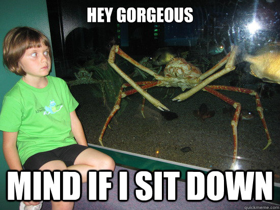 hey gorgeous Mind if i sit down - hey gorgeous Mind if i sit down  wildly inappropriate crab