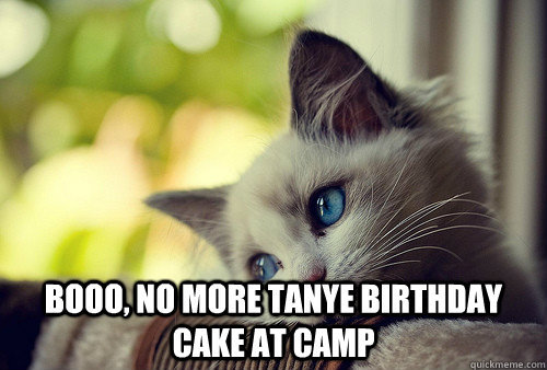  booo, no more Tanye birthday cake at camp  First World Problems Cat