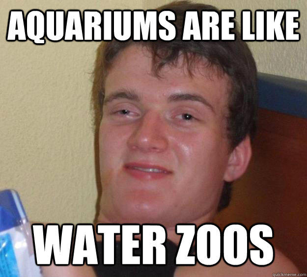aquariums are like  Water Zoos  10 Guy