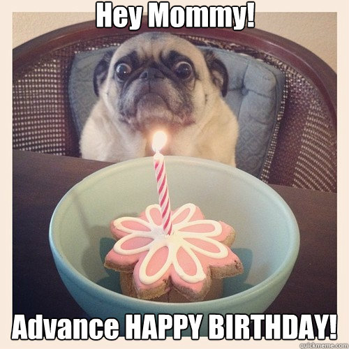 Hey Mommy! Advance HAPPY BIRTHDAY! - Hey Mommy! Advance HAPPY BIRTHDAY!  Birthday Pug