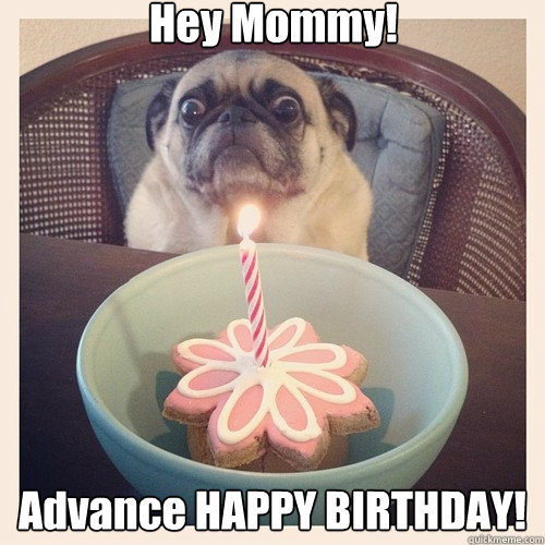 Hey Mommy! Advance HAPPY BIRTHDAY!  Birthday Pug
