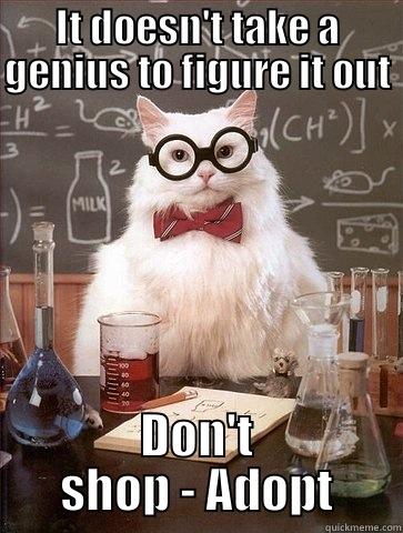 IT DOESN'T TAKE A GENIUS TO FIGURE IT OUT DON'T SHOP - ADOPT Chemistry Cat
