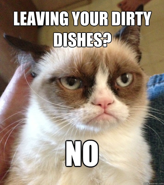 Leaving your dirty dishes?  NO  - Leaving your dirty dishes?  NO   Misc
