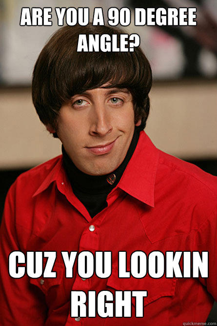 Are you a 90 degree angle? Cuz you lookin right - Are you a 90 degree angle? Cuz you lookin right  Pickup Line Scientist