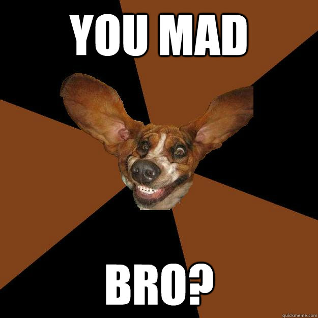 You Mad bro? - You Mad bro?  Trollface Dog