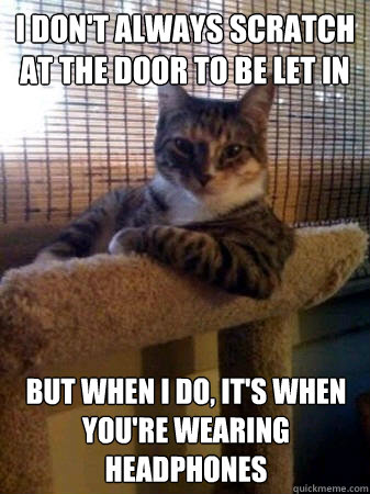 I don't always scratch at the door to be let in but when I do, it's when you're wearing headphones  The Most Interesting Cat in the World