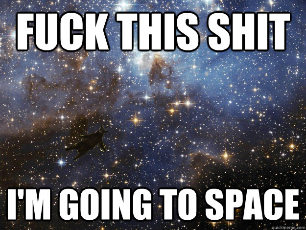 Fuck this shit I'm going to space - Fuck this shit I'm going to space  space bear
