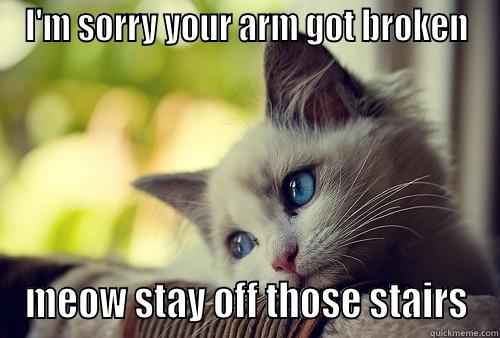 sympathy cute - I'M SORRY YOUR ARM GOT BROKEN MEOW STAY OFF THOSE STAIRS First World Problems Cat