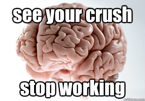 see your crush stop working  Scumbag Brain