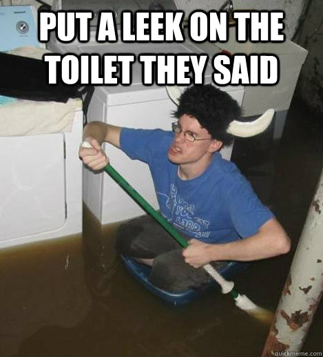 Put a leek on the toilet they said  