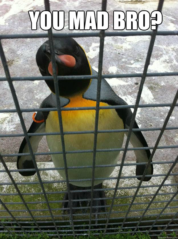 You mad bro?  mad penguin