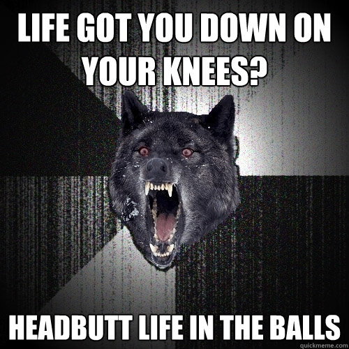 life got you down on your knees? headbutt life in the balls - life got you down on your knees? headbutt life in the balls  Insanity Wolf