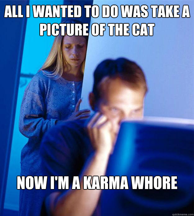 all i wanted to do was take a picture of the cat now I'm a karma whore  Redditors Wife