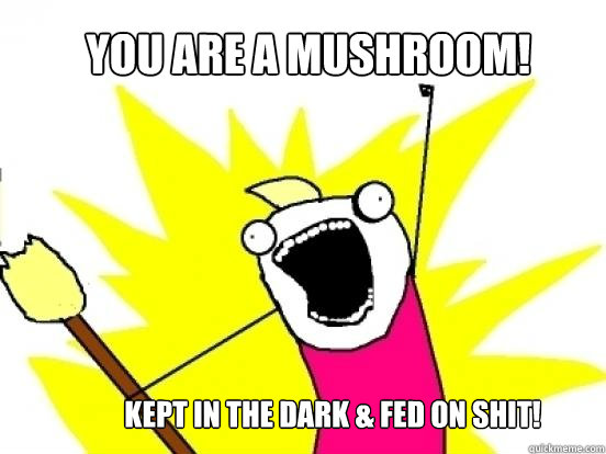 You are a Mushroom! kept in the dark & fed on shit!  X All The Things