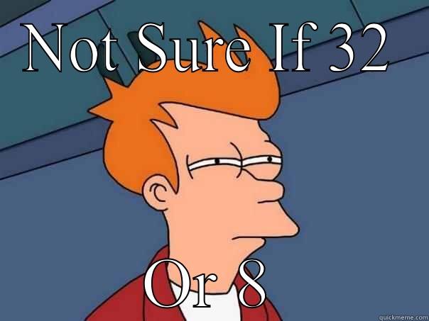 Leap year - NOT SURE IF 32 OR 8 Futurama Fry