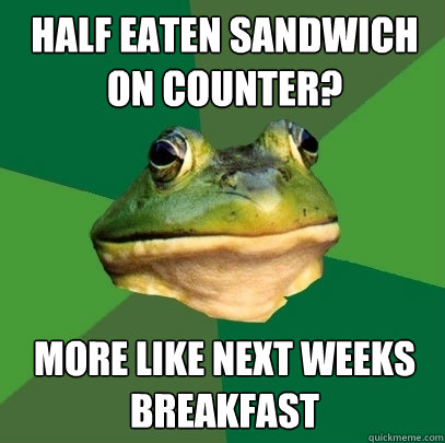 Half eaten sandwich on counter? More like next weeks breakfast  Foul Bachelor Frog