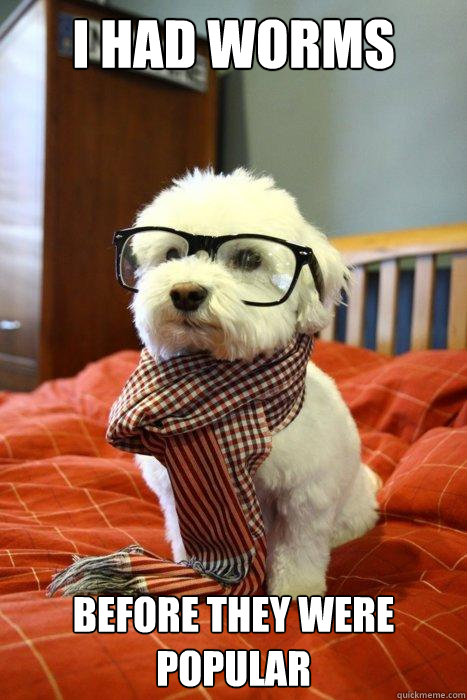 I had worms before they were popular  Hipster Dog