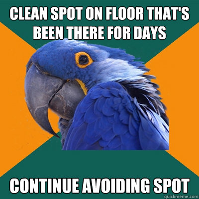 Clean spot on floor that's been there for days continue avoiding spot  Paranoid Parrot