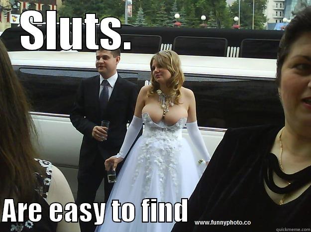 Sluts are easy to find. - SLUTS.                   ARE EASY TO FIND                      Misc