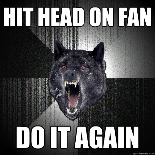 hit head on fan Do it again  Insanity Wolf