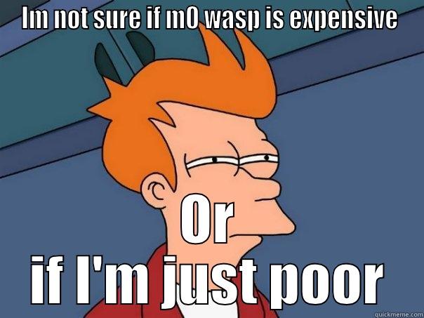 IM NOT SURE IF M0 WASP IS EXPENSIVE OR IF I'M JUST POOR Futurama Fry