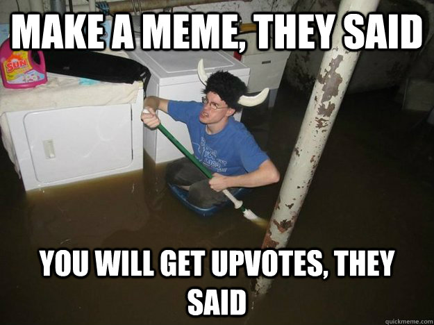 make a meme, they said you will get upvotes, they said  Laundry Room Viking