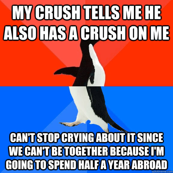 My crush tells me he also has a crush on me can't stop crying about it since we can't be together because I'm going to spend half a year abroad  Socially Awesome Awkward Penguin