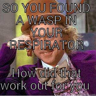SO YOU FOUND A WASP IN YOUR RESPIRATOR HOW DID THAT WORK OUT FOR YOU  Condescending Wonka