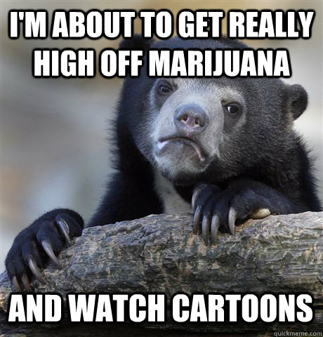 I'm about to get really high off marijuana and watch cartoons  Confession Bear