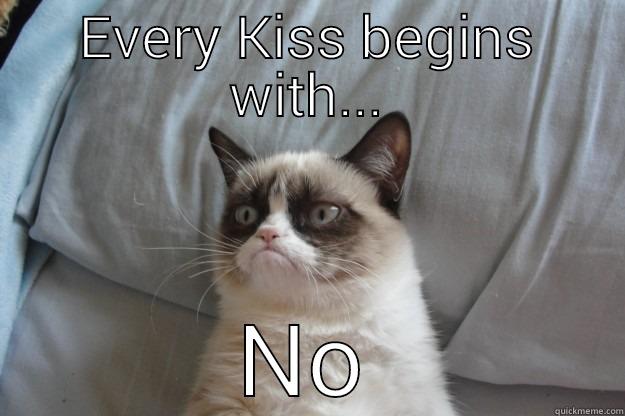 EVERY KISS BEGINS WITH... NO Grumpy Cat