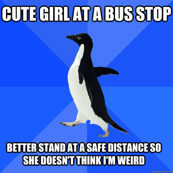 Cute girl at a bus stop   Better stand at a safe distance so she doesn't think I'm weird  Socially Awkward Penguin