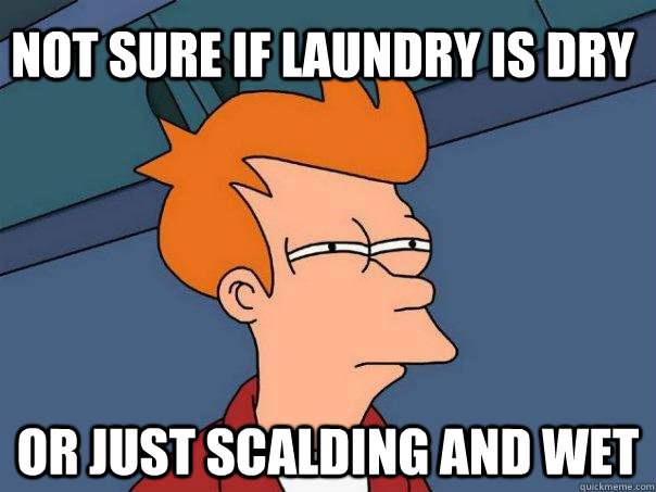 Not sure if laundry is dry Or just scalding and wet  Futurama Fry