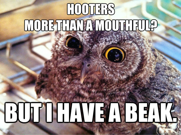 Hooters
more than a mouthful? but i have a beak. - Hooters
more than a mouthful? but i have a beak.  Skeptical Owl