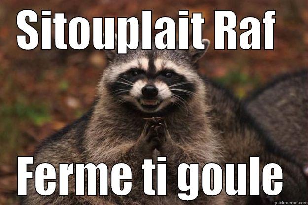 SITOUPLAIT RAF  FERME TI GOULE Evil Plotting Raccoon