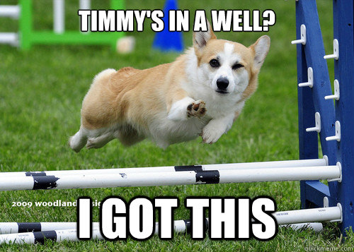 Timmy's in a well? I got this - Timmy's in a well? I got this  Ridiculously Photogenic Dog