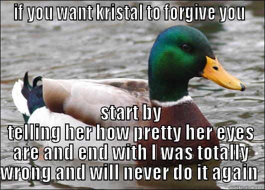 IF YOU WANT KRISTAL TO FORGIVE YOU  START BY TELLING HER HOW PRETTY HER EYES ARE AND END WITH I WAS TOTALLY WRONG AND WILL NEVER DO IT AGAIN  Actual Advice Mallard