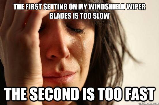 The first setting on my windshield wiper blades is too slow the second is too fast  First World Problems