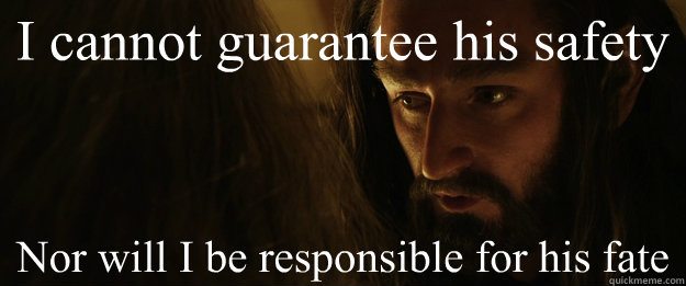 I cannot guarantee his safety Nor will I be responsible for his fate - I cannot guarantee his safety Nor will I be responsible for his fate  Little Brother