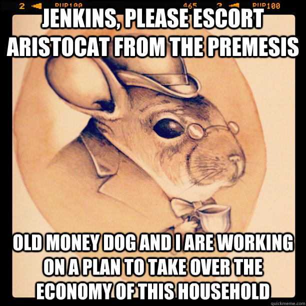 Jenkins, please escort aristocat from the premesis Old money dog and I are working on a plan to take over the economy of this household  Robber Baron Chinchilla