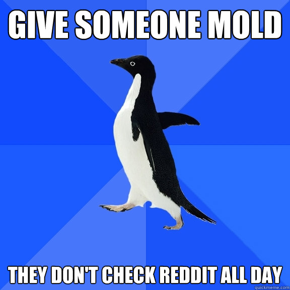 GIVE SOMEONE MOLD THEY DON'T CHECK REDDIT ALL DAY  Socially Awkward Penguin