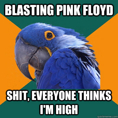 blasting pink Floyd  shit, everyone thinks i'm high  Paranoid Parrot