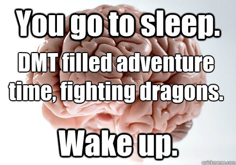 You go to sleep. Wake up. DMT filled adventure time, fighting dragons.  Scumbag Brain