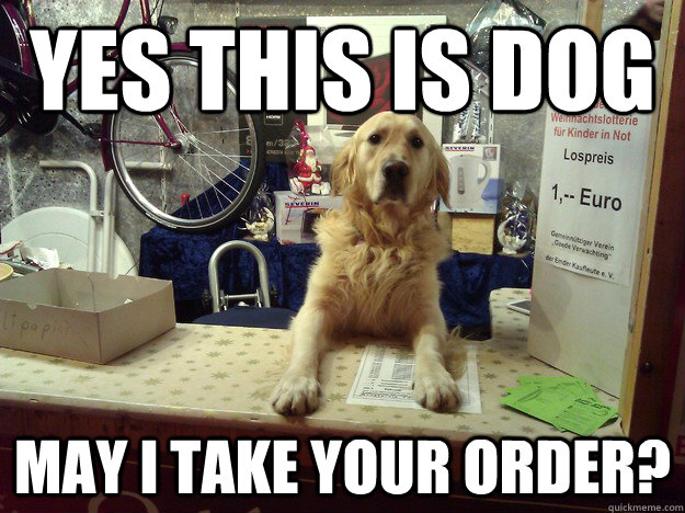 Yes this is dog May i take your order? - Yes this is dog May i take your order?  Misc