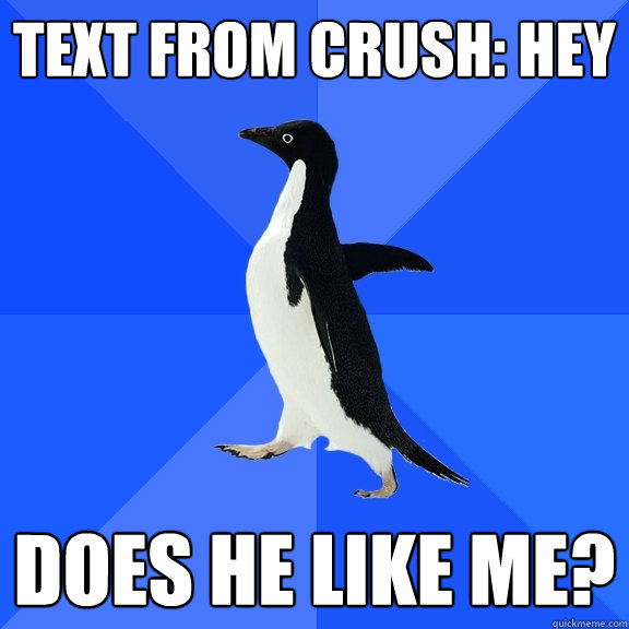text from crush: hey does he like me?  Socially Awkward Penguin