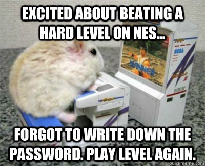 Excited about beating a hard level on NES... forgot to write down the password. play level again. - Excited about beating a hard level on NES... forgot to write down the password. play level again.  Obsessive Gaming Hamster