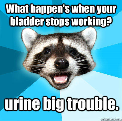What happen's when your bladder stops working? urine big trouble.  Lame Pun Coon